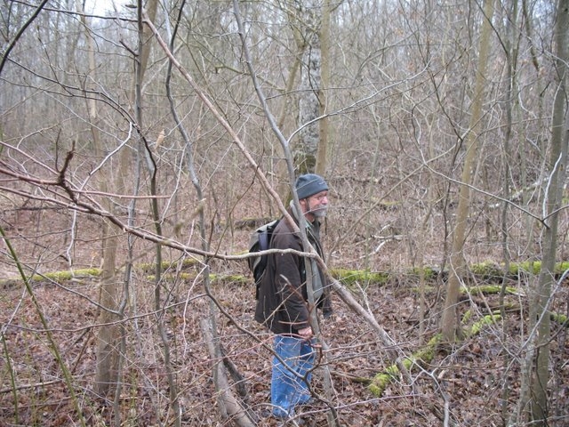 Reconnaissance des arbres 034